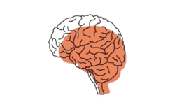 Dra. Josefina Pernas - Logo